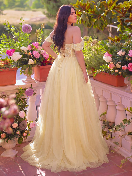 Plus-Size Off-Shoulder Sequin Tulle Short-Sleeve A-Line Evening Gown — authorized product image 2