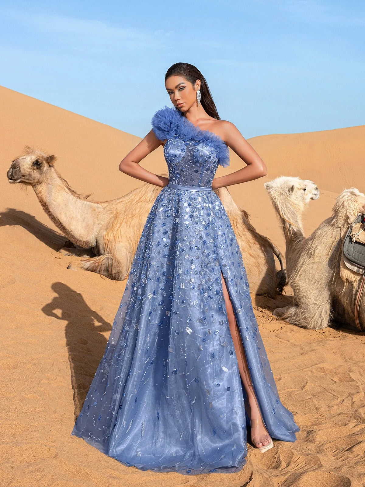 One-Shoulder Sequin Beaded Sleeveless A-Line Evening Gown in Blue Ashes, authorized product view 5
